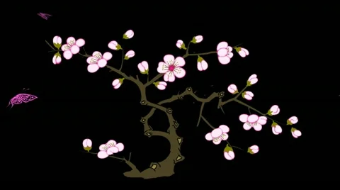 Spring, flower, tree sakura with alpha Stock Footage 10811311