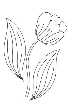 Spring Flower - Tulip. Vector drawing. Black line, outline. White background. Or Stock Illustration