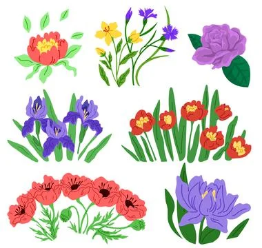 Spring flower. The vegetative growth in spring brought burst vibrant colors Stock Illustration