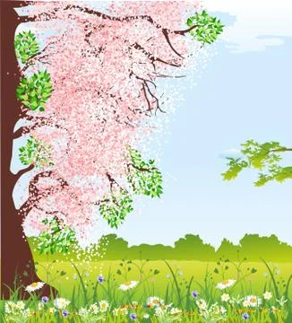Spring flowering tree Stock Illustration