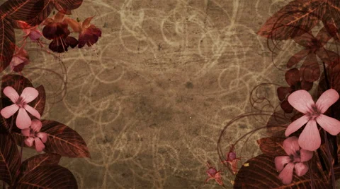 Spring Flowers 1080  background Stock Footage 50702741
