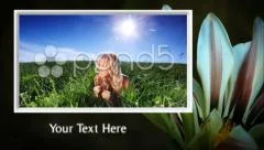 Spring Flowers Stock After Effects