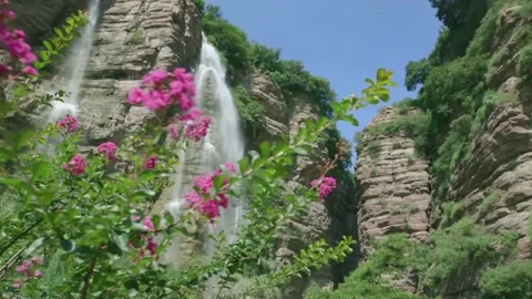 Spring flowers and big waterfall. Waterfall spilling down the face of tall cliff 스톡 동영상 133353790
