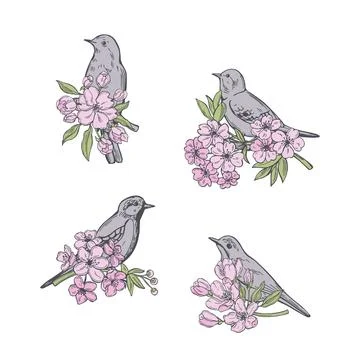 Spring flowers and birds. Vector illustration. Stock Illustration