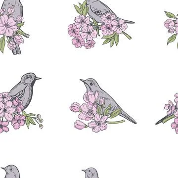 Spring flowers and birds. Vector  pattern Stock Illustration