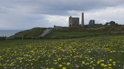 Spring, flowers and cloudy sky. Tankardstown. Copper Coast Geopark Vídeos de archivo 153328377