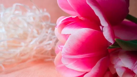 Spring flowers and colorful Easter eggs on straw. Stock Footage 104106046