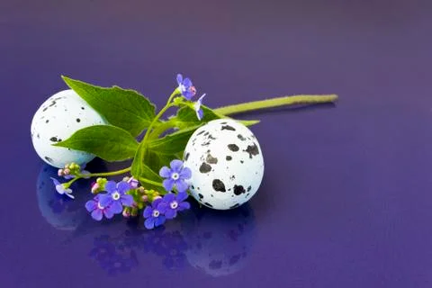 Spring flowers and Easter eggs Stock-Fotos