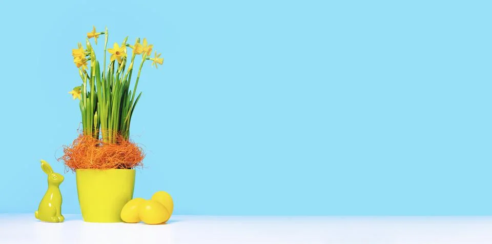 Spring flowers and Easter eggs. Happy Easter card Stock Photos