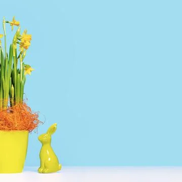 Spring flowers and Easter eggs. Happy Easter card Stock Photos