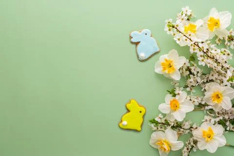 Spring flowers and Easter eggs and bunnies Stock Photos