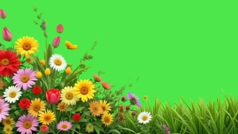 Spring Flowers and Green Grass on Green Screen Background Loop Video stock 335633754