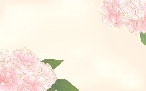 Spring flowers and plants, light pink gradient double cherry blossom (peony c Stock Illustration