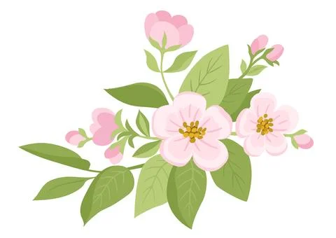 Spring flowers. Apple tree blossom with green leaves Stock Illustration