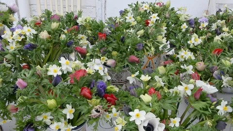 Spring flowers on a background coastal moving waves. Close-up. Видео 100092029