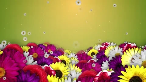 Spring Flowers Background Видео 204144931