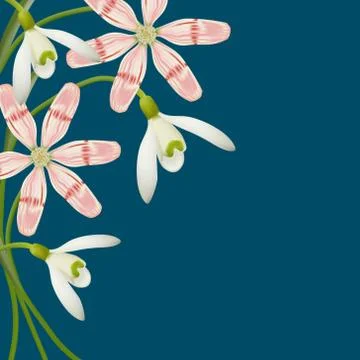 Spring Flowers background Stock Illustration