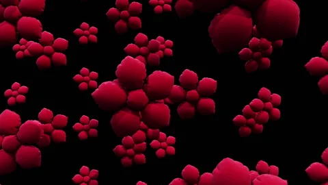 Spring Flowers Background Loop Alpha Video stock 304413180