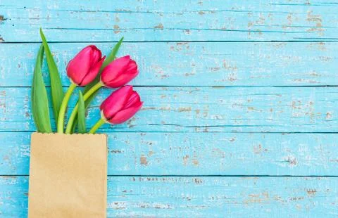 Spring flowers background Stock Photos