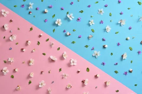 Spring flowers background Stock Photos
