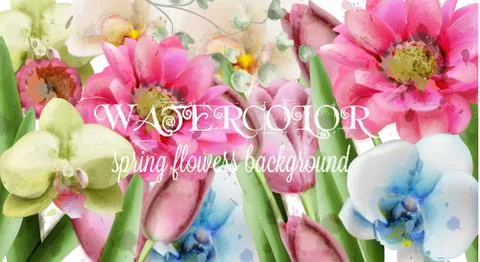 Spring flowers background watercolor Vector. Beautiful vintage pastel colors  Stock Illustration