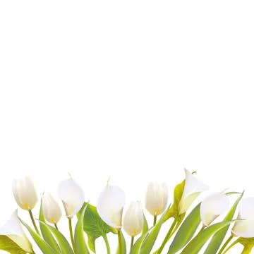Spring flowers backround with text lettering. Stock Illustration