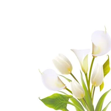 Spring flowers backround with text lettering. Stock Illustration