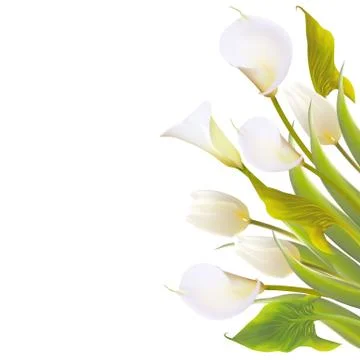 Spring flowers backround with text lettering. Stock Illustration