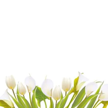 Spring flowers backround with text lettering. Stock-Illustration