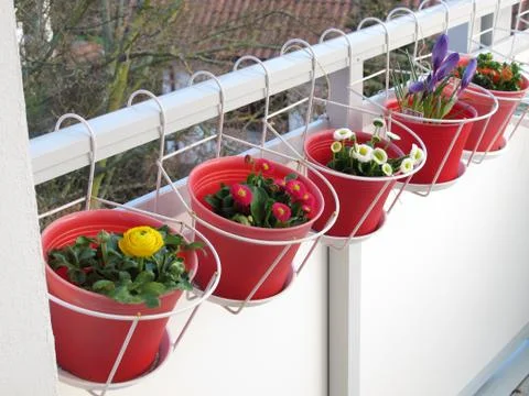Spring flowers on the balcony Stock Photos