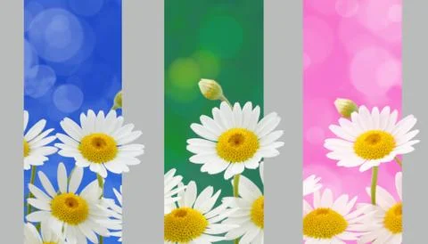 Spring flowers banners Stock Photos