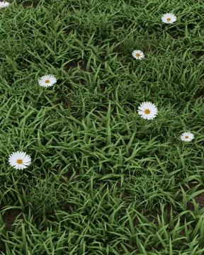 Spring flowers in bloom Stock Illustration