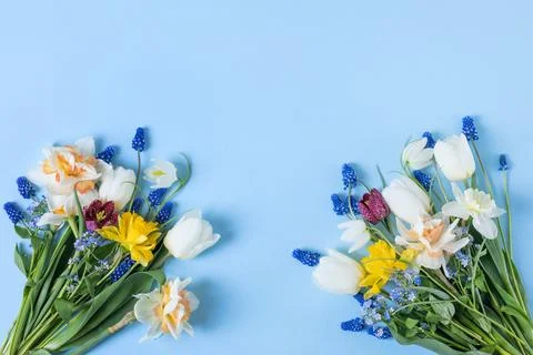 Spring flowers on a blue background Stock Photos