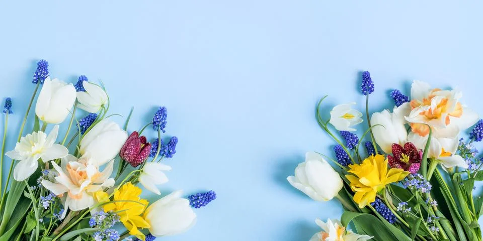 Spring flowers on a blue background Stock Photos