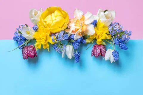 Spring flowers on blue podium Stock Photos