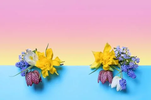 Spring flowers on blue podium Stock Photos