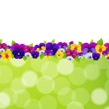 Spring flowers border Illustrazione stock
