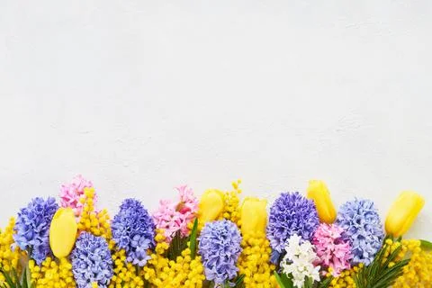 Spring flowers border on a white background. Mothers day, Valentines Day Stock Photos