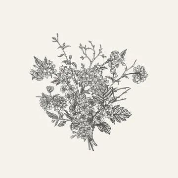 Spring flowers. Bouquet with branches. Stock Illustration