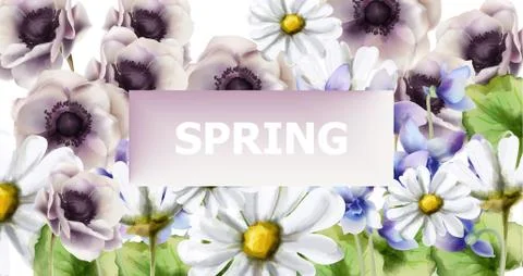 Spring flowers bouquet card Vector watercolor. Spring season background. Vint Stock Illustration