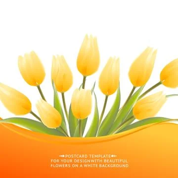 Spring flowers bouquet Stock Illustration