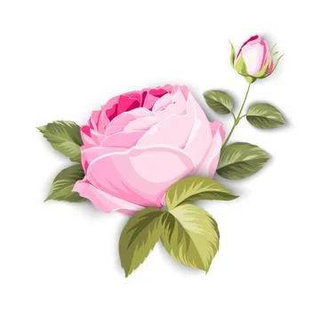 Spring flowers bouquet. Stock Illustration