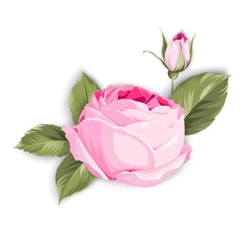 Spring flowers bouquet. Illustrazione stock