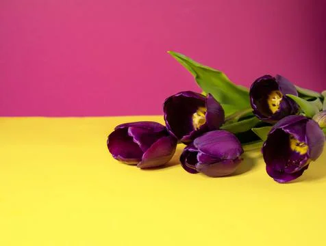 Spring flowers bouquet Stock Photos