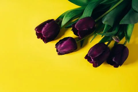 Spring flowers bouquet Stock Photos