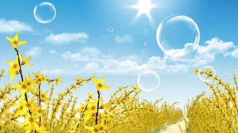 Spring Flowers with Bubbles Under Sunny Blue Sky Stock Photos