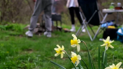 Spring Flowers Close up People cooking on Bonfire on background Video stock 242286563