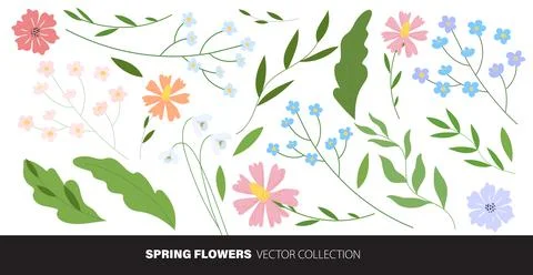 Spring Flowers Collection Set, Vector illustration Stock Illustration