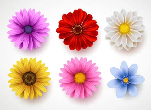 Spring flowers colorful vector set isolated in white background Stock Illustration