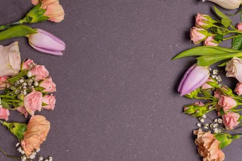 Spring flowers composition on dark black background. gillyflower, carnation, Stock Photos